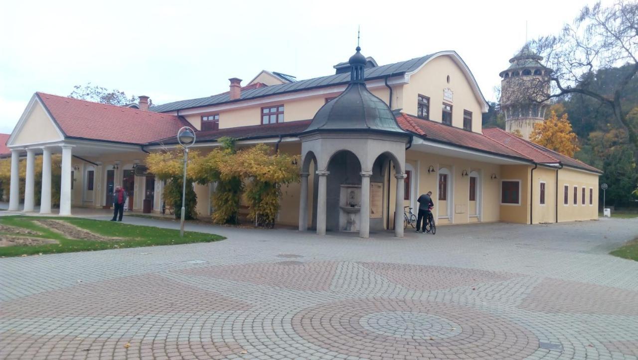 Dobre Ubytovanie Apartment Piest'any Exterior photo